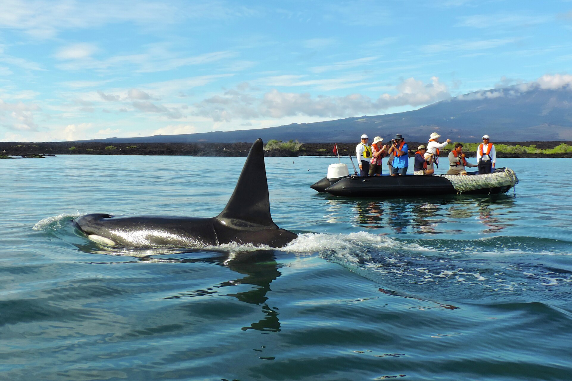 Galápagos Islands Expedition - In Darwin’s Footsteps