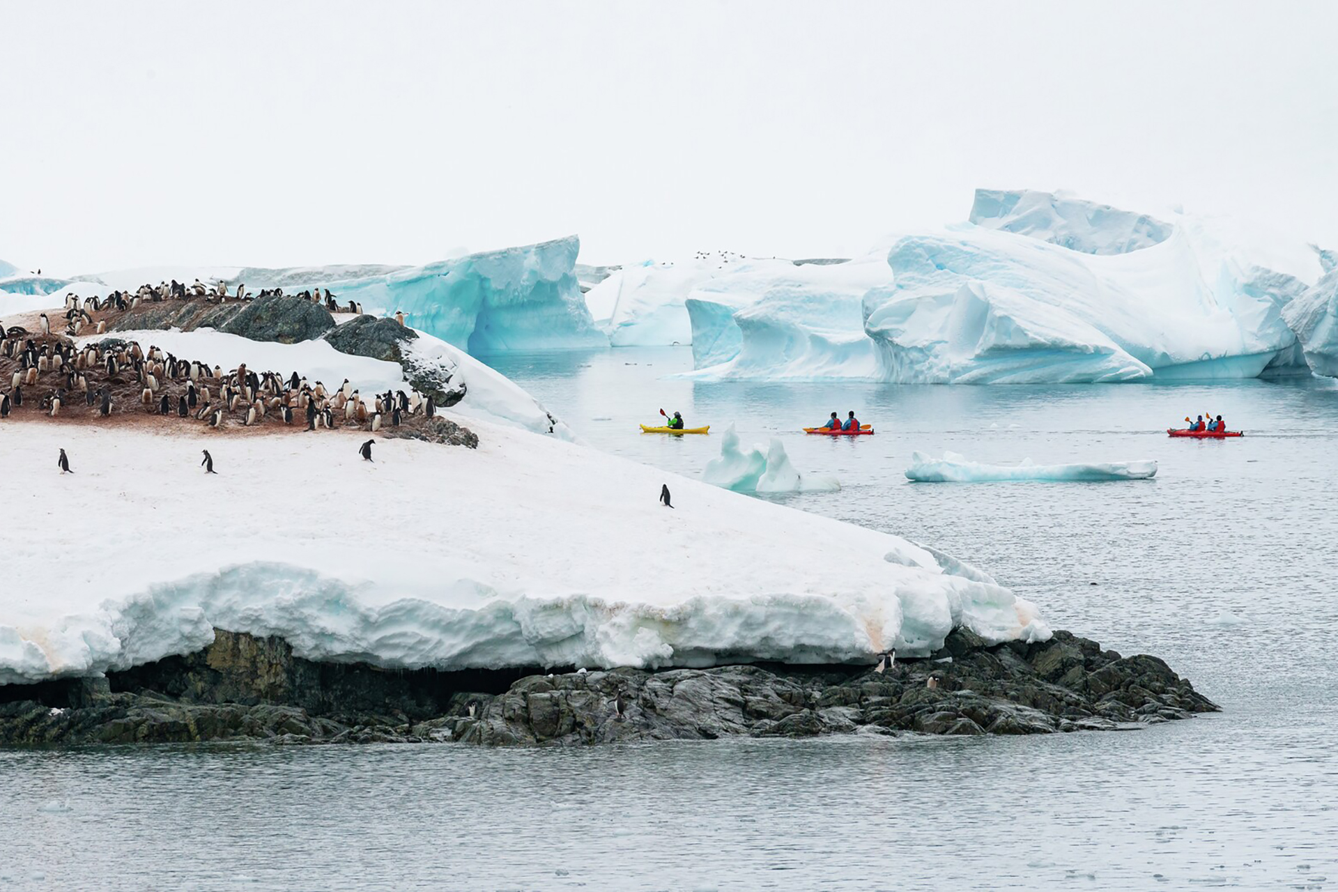 Highlights of Antarctica