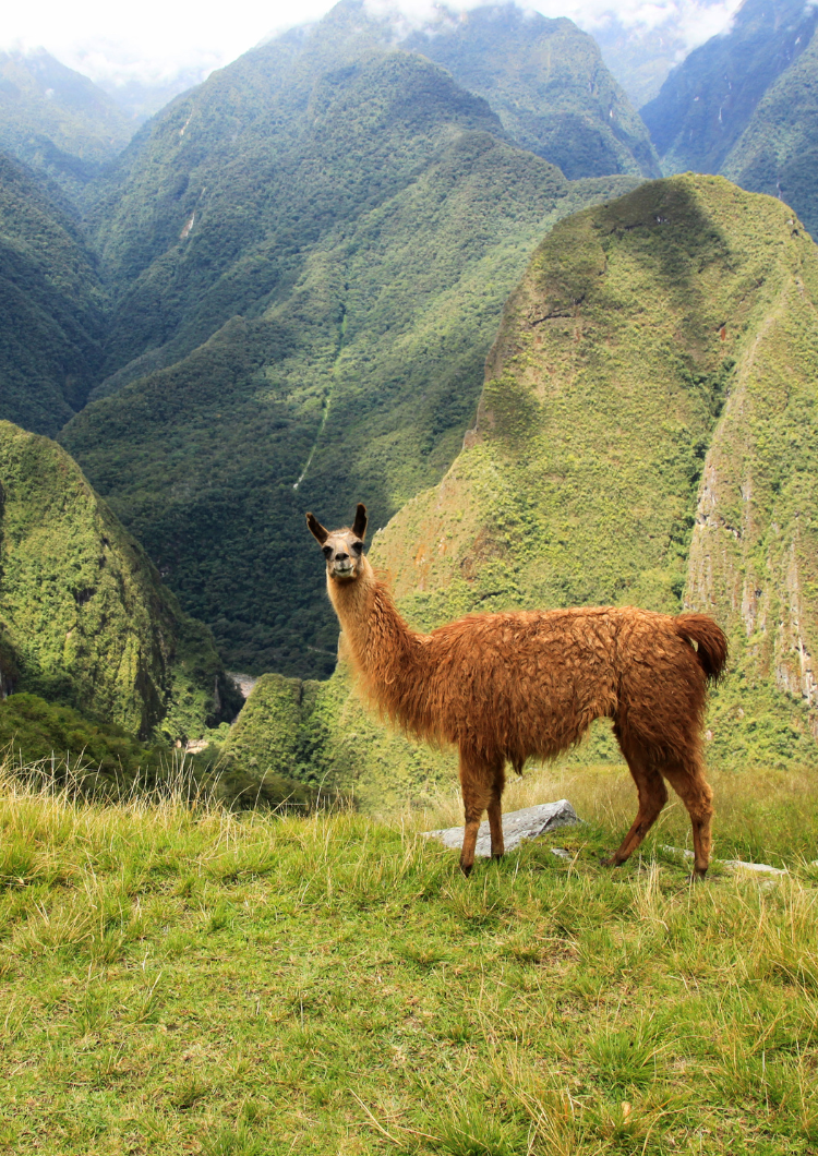 South America